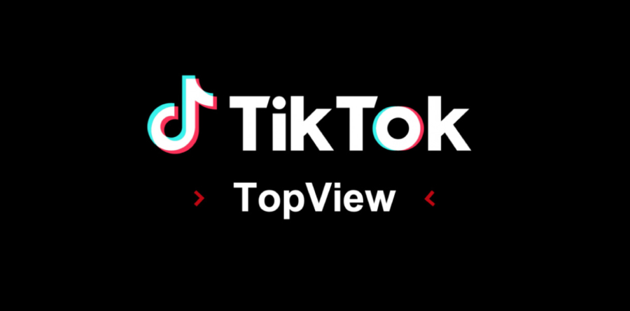 1日1社限定の新しい動画広告メニュー「TopView」が登場！