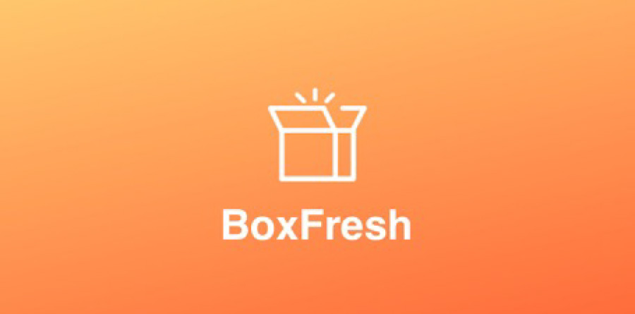 Z世代向け質問型SNSアプリ「BoxFresh」がPangleを活用することで広告収益増加。自社のミッションを実現：アップシーエム